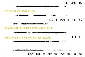limits of whiteness cover